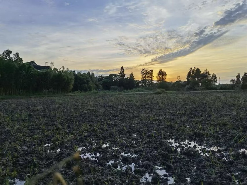 中国绿色有机农场寻访记--平湖柳伟农场